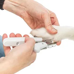 Trixie nagų žirklės su LED šviesa, Dydis: 15 cm — 3 nuotrauka