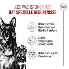 Royal Canin Maxi Starter Mother & Babydog sausas maistas šunims — 4 nuotrauka