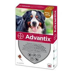 ADVANTIX lašai šunims nuo blusų ir erkių 40-60kg N4
