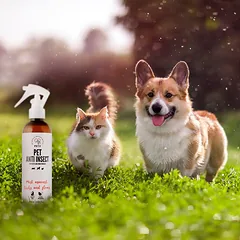 PETS ANTI INSECT - veiksminga apsauga nuo erkių, blusų ir kitų vabzdžių 250ml