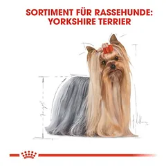 Royal Canin Yorkshire Terrier Adult sausas maistas šunims, 3 - 4,9 kg — 5 nuotrauka