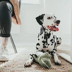 HUNTER žaislas šunims Tough Toys krokodilas, Dideliems 26–45 kg — 2 nuotrauka