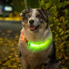 TIAKI LED antkaklis ilgaplaukiams šunims, Dideliems 26–45 kg — 2 nuotrauka