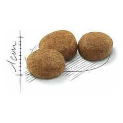 Royal Canin FHN Sterilised sausas maistas katėms 2 kg — 2 nuotrauka
