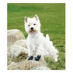 Trixie Dog Walker Active Protective Boots XS N2 — 4 nuotrauka