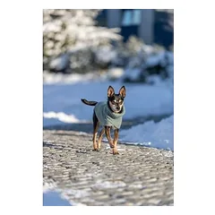 Trixie CityStyle Berlin megztinis šunims, dydis XS 30 cm, šalavijų žalios spalvos — 4 nuotrauka