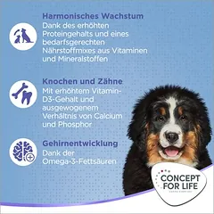 Concept for Life X-Large Puppy & Junior sausas maistas šuniukams, 1,5 - 2,9 kg — 4 nuotrauka