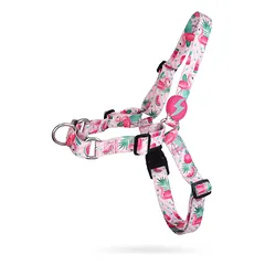 Dashi Flamingo priekinis pakinktis - norvegiško stiliaus pakinktis šunims, be traukimo, su flamingo raštu