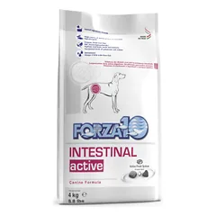 Forza10 Intestinal Active sausas maistas šunims, sergantiems virškinamojo trakto ligomis, 4 kg