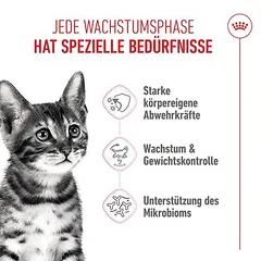 Royal Canin Kitten Sterilised sausas maistas kačiukams, 3 - 4,9 kg — 3 nuotrauka