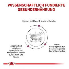 Royal Canin Veterinary Canine Cardiac sausas maistas šunims — 3 nuotrauka