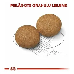 Royal Canin SHN Medium Adult sausas maistas šunims 3kg — 2 nuotrauka