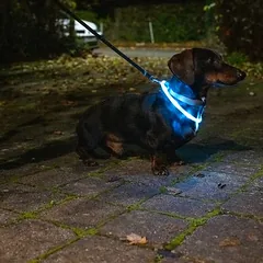 TIAKI mažas USB LED silikoninis žiedas Lantern, turkio spalvos — 2 nuotrauka
