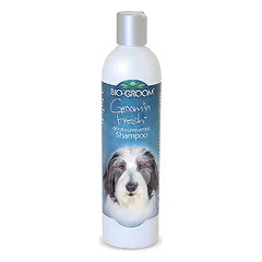 BIO-GROOM Groom'n fresh Šampūnas šunims ir katėms