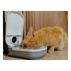 Cat Mate automatinė šėryklė C100, iki 400 g sauso ar drėgno maisto — 3 nuotrauka