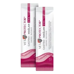 VET PROTECTOR® GASTRO – MAŚLAN ONE – preparatas, palaikantis šunų ir kačių virškinimo trakto funkcionavimą, 3 ml