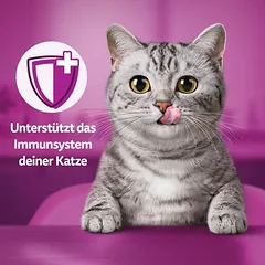 Whiskas Vitamin E-Xtra skanėstai katėms — 5 nuotrauka