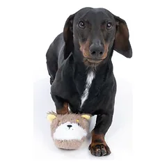TIAKI žaislas šunims Triušio šlepetė, Mažiems 5–10 kg — 3 nuotrauka