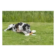 TRIXIE Denta Fun Mega vištienos kramtomasis kaulas, 40 cm, 500 g