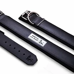 Bestia Dog Sport Hundehalsband