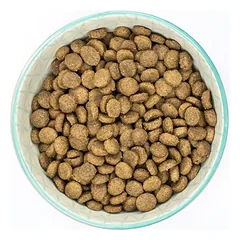 Burns Adult & Senior Original Toy & Small Breed su vištiena ir ryžiais, sausas maistas šunims — 3 nuotrauka