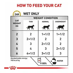 Royal Canin Vet VD Urinary S/O veterinarinis drėgnas maistas katėms 12x85 g — 2 nuotrauka