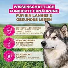 Eukanuba Grain Free Senior Large & Giant su jūrų žuvimi, sausas maistas šunims — 4 nuotrauka