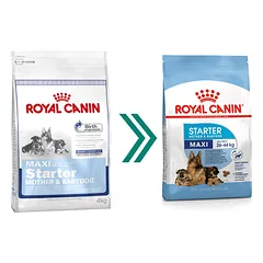 Royal Canin Maxi Starter 15 kg parduotuvėje e-zoo.lt