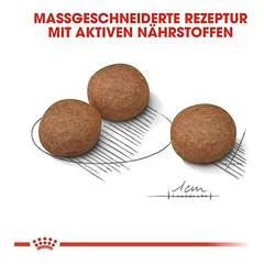 Royal Canin Medium Digestive Care sausas maistas šunims, > 10 kg — 3 nuotrauka