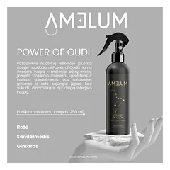 Purškiamas namų kvapas Power of Oudh, 250 ml — 4 nuotrauka