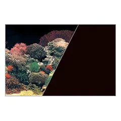  ZOLUX akvariumo fonas 50 cm x 15 m "Coral Reef Black