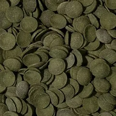 Tropical Green Algae Wafers pašaras dugninėms žuvims 250 ml + 10% — 2 nuotrauka