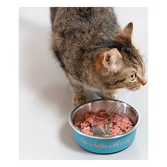 TIAKI nerūdijančio plieno dubenėlis „Better With A Cat“, 450 ml, Ø 14 cm — 4 nuotrauka