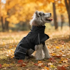 PAW COUTURE gyvūnų augintinių lietpaltis, juodas, juodas, XL dydis — 2 nuotrauka