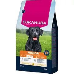 EUKANUBA Junior Large 15kg