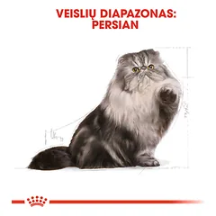ROYAL CANIN FBN Persian sausas maistas suaugusioms Persų veislės katėms 2 kg — 2 nuotrauka
