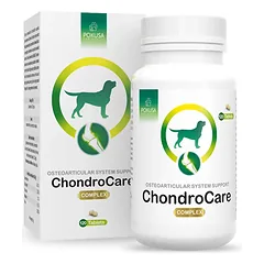 Pokusa ChondroCare 120 tabletės - papildas, palaikantis kaulų ir sąnarių sistemos funkciją, su gliukozaminu, chondroitinu ir bosvelijos ekstraktu.