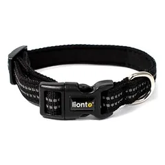 lionto Katzenhalsband reflektierend aus Nylon mit Neoprenpolsterung