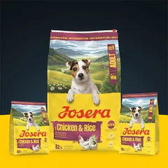 Josera Mini Chicken&Rice sausas maistas šunims, 900 g — 2 nuotrauka