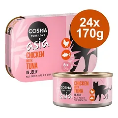 Sparpaket Cosma Asia in Jelly 24 x 170 g