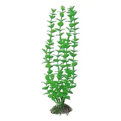 AMTRA ROTALA augalas mažas 13cm 1vnt