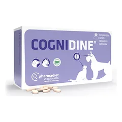 Cognidine maisto papildas kognityvinės funkcijos gerinimui šunims ir katėmsN60