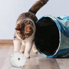 Kater Kasimir žaislas katėms Kailio kamuoliukas, 1 vnt. — 4 nuotrauka