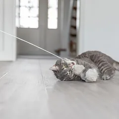 Trixie žaidimų meškerė su kamuoliukais ir katžole, L 50 cm — 3 nuotrauka