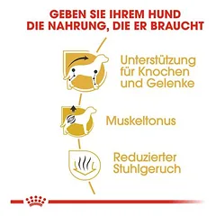 Royal Canin Dachshund Adult sausas maistas šunims, 5 - 9,9 kg — 5 nuotrauka