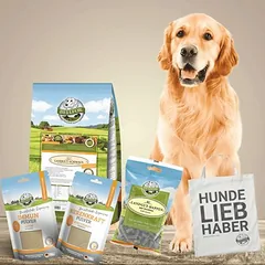 Bellfor Trockenfutter im Sparset für große Hunde