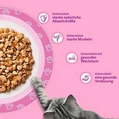 Whiskas Junior drėgnas maistas kačiukams, šviežumo maišeliai 40 x 85 g, 80 - 99 g — 2 nuotrauka