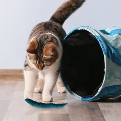 Kater Kasimir žaislas katėms Veltiniai kirminėliai, 3 vnt. rinkinys — 3 nuotrauka