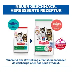 Hill's Science Plan Kitten <1 su lašiša, sausas maistas kačiukams, 5 - 9,9 kg — 2 nuotrauka