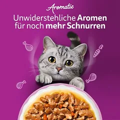 Whiskas Aromatic Selection drėgnas maistas katėms 40 x 85 g, 80 - 99 g — 3 nuotrauka